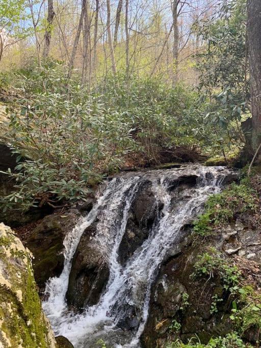 Blue Ridge Parkway Panoramic Paradise-60 Mile View Fancy Gap Экстерьер фото